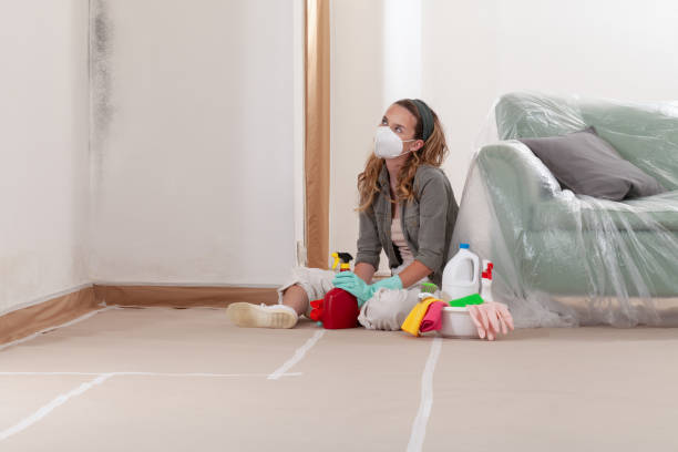 Reliable Attic Mold Removal contractor in Gladwyne, PA by WQB Mold Removal