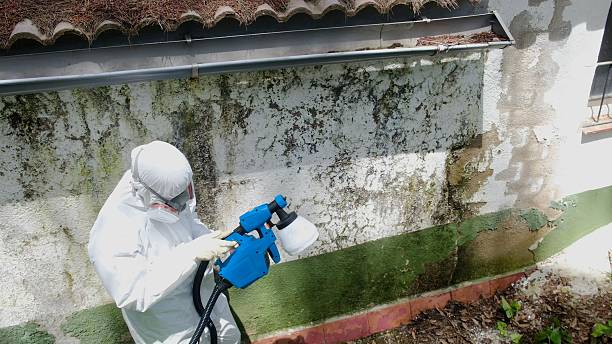 Top rated local Attic Mold Removal specialists in Gladwyne, PA